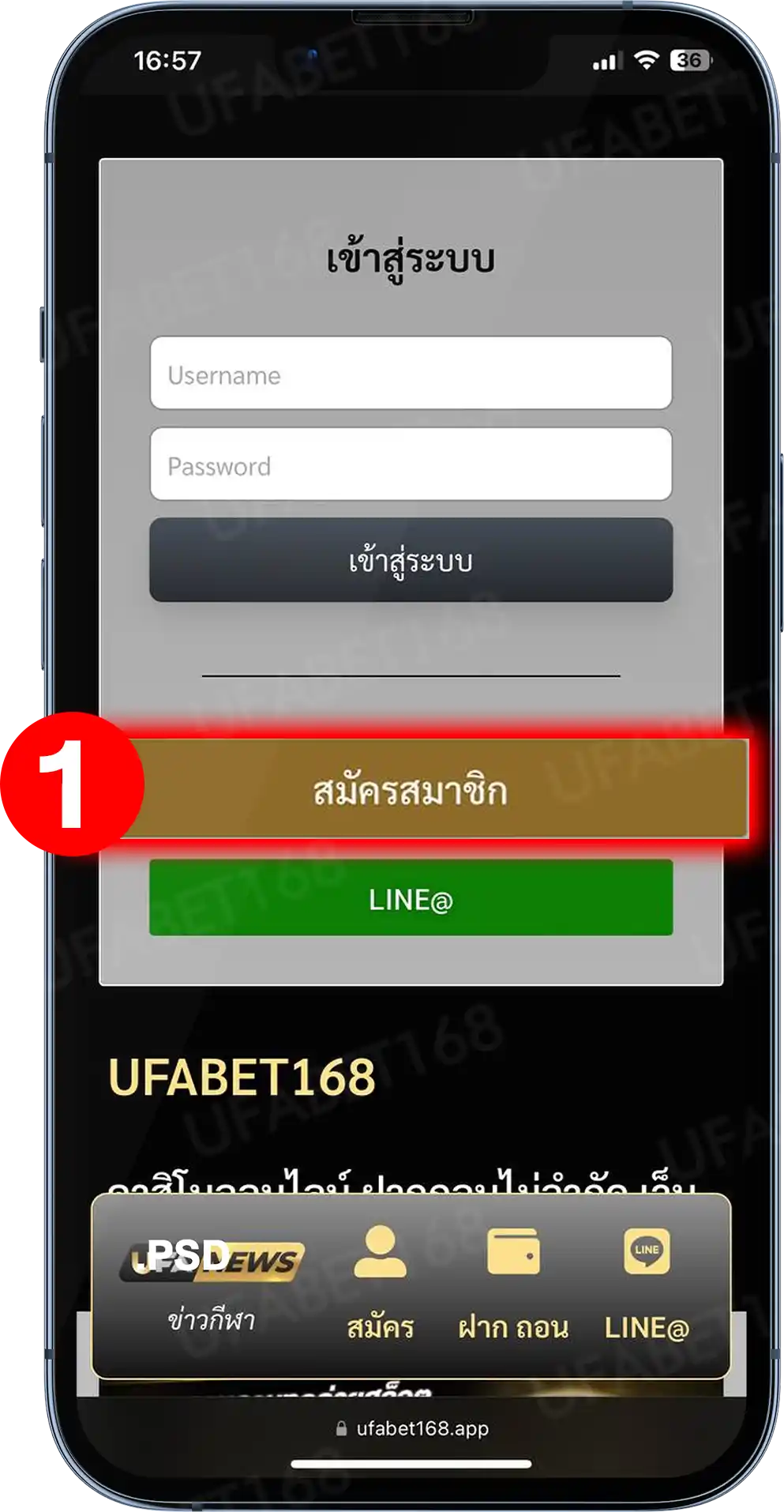 ยูฟ่า